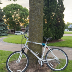 2002 Gary Fisher Napa White