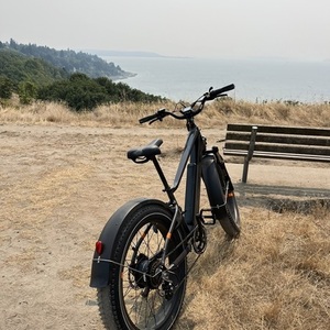 2023 Rad Power Bikes Rover Black