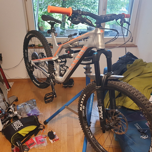 2019 Canyon bicycles Silver, gray or bare metal and Orange