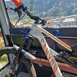 2019 Canyon bicycles Silver, gray or bare metal and Orange