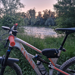 2019 Canyon bicycles Silver, gray or bare metal and Orange