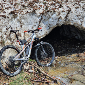 2019 Canyon bicycles Silver, gray or bare metal and Orange