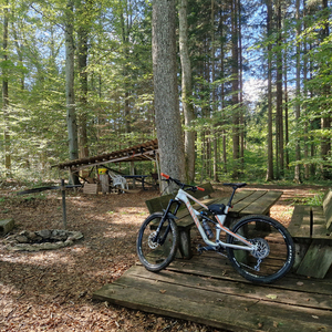 2019 Canyon bicycles Silver, gray or bare metal and Orange