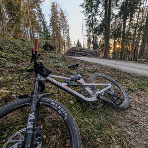 2019 Canyon bicycles Silver, gray or bare metal and Orange