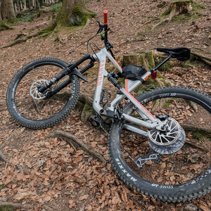 2019 Canyon bicycles Silver, gray or bare metal and Orange