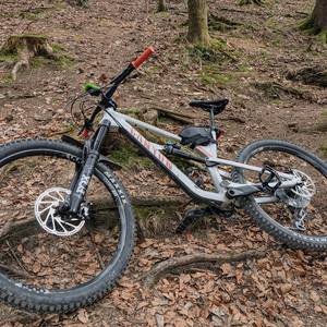 2019 Canyon bicycles Silver, gray or bare metal and Orange