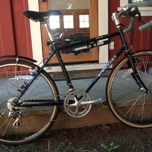 2002 Rodriguez Stella  Blue