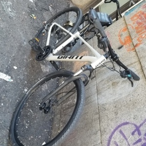 2025 Giant Roam 3 Silver, gray or bare metal