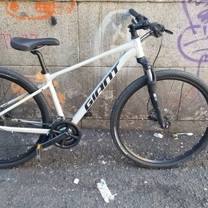 2025 Giant Roam 3 Silver, gray or bare metal