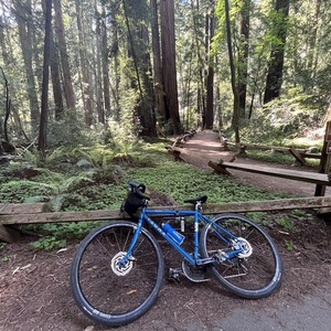 2023 Soma Fog cutter Blue