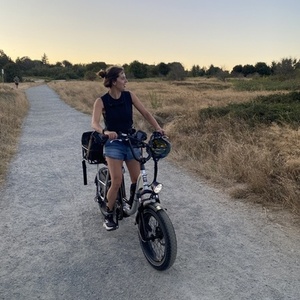 Rad Power Bikes Rad Runner Plus Silver, gray or bare metal