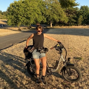 Rad Power Bikes Rad Runner Plus Silver, gray or bare metal