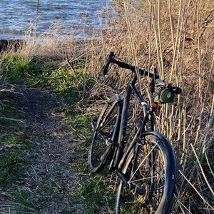 2014 Specialized Tricross Black