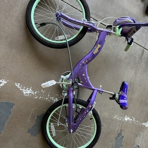Schwinn Purple