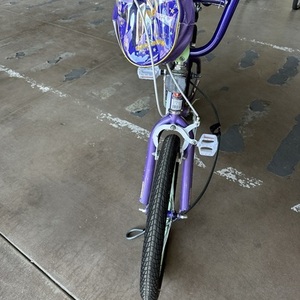 Schwinn Purple