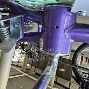 Schwinn Purple