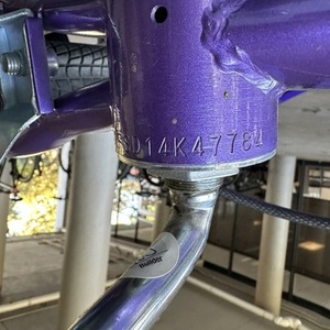 Schwinn Purple