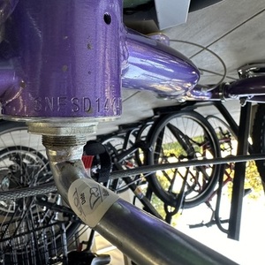 Schwinn Purple