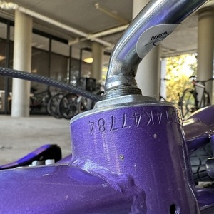 Schwinn Purple