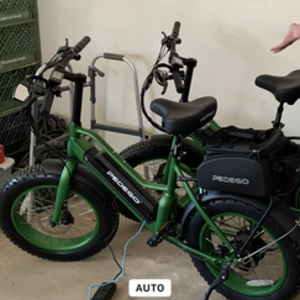 2022 Pedego Element Green
