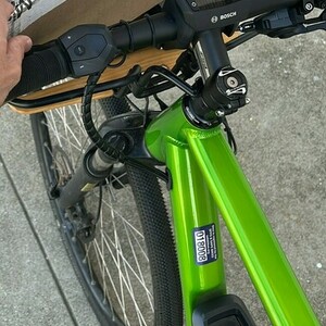 2018 Riese & Müller Roadster Green