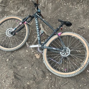 2022 Specialized Rockhopper sport fiets Silver, gray or bare metal