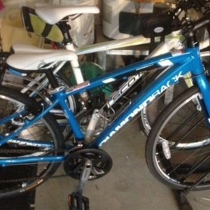 2015 Diamondback Women SM Blue