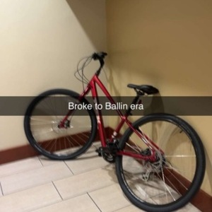 2022 Trek Gen 4 Red and Silver, gray or bare metal