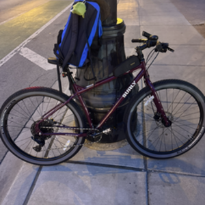 2025 Surly Ogre Purple