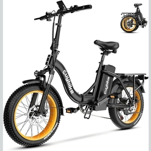 2025 Euybike Black and Yellow or Gold