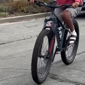 Trek 1000 Flat Bar Silver, gray or bare metal