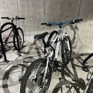 2025 Trek Fuel Ex6 Silver, gray or bare metal