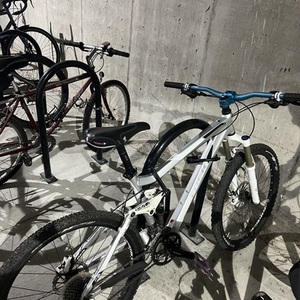 2025 Trek Fuel Ex6 Silver, gray or bare metal