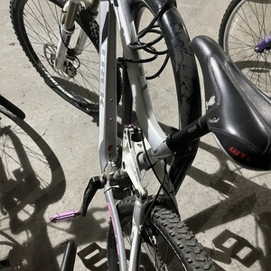 2025 Trek Fuel Ex6 Silver, gray or bare metal