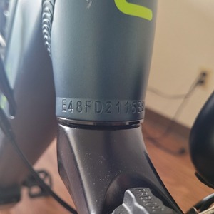 2021 Gimnot D1 Medium Green