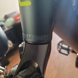 2021 Gimnot D1 Medium Green