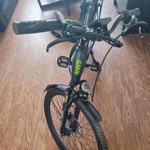 2021 Gimnot D1 Medium Green