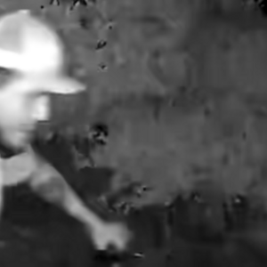 2021 Super73 RX Silver, gray or bare metal, Black, and Green