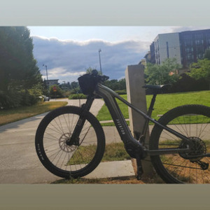 2024 Aventón Ramblas Green