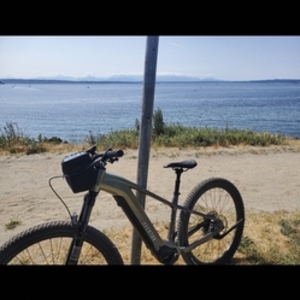 2024 Aventón Ramblas Green