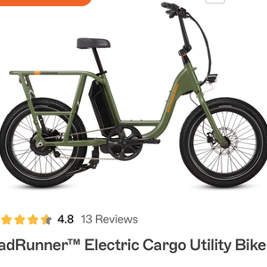 2019 Rad Power Bikes 2021 Green