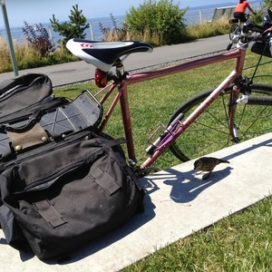 1984 Bianchi trofeo Pink