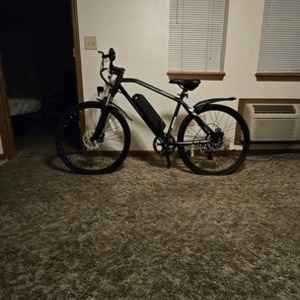 Hoverfly Ourea Black