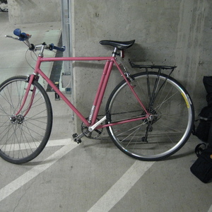 Raleigh Reynolds 531 with fancy cutouts Pink
