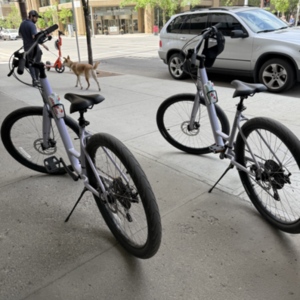 2023 Specialized roll 3.0 low entry White