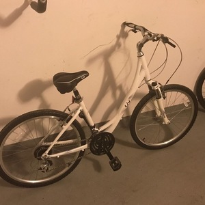 2017 Giant ALUXX-grade aluminum White