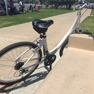 2017 Giant ALUXX-grade aluminum White