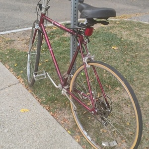 Free Spirit Red