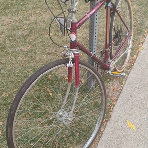 Free Spirit Red
