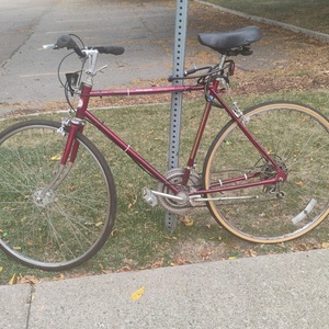 Free Spirit Red